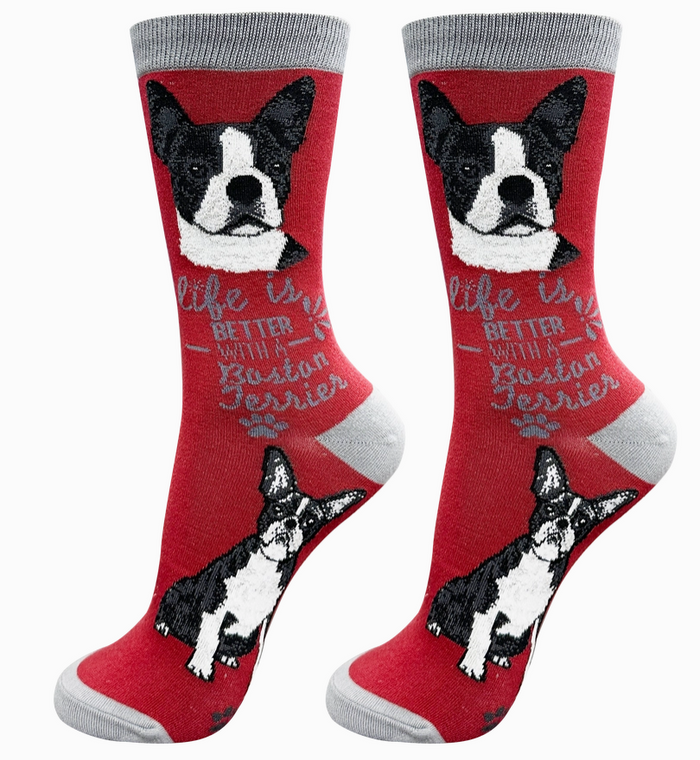 Boston Terrier - Life is Better Socks - Premium Socks from Sock Daddy - Just $10.95! Shop now at Pat's Monograms