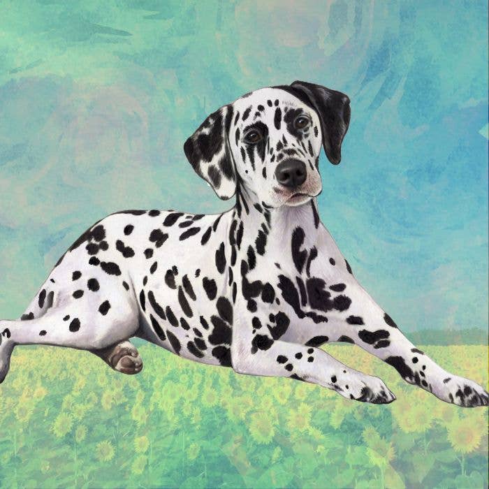 Dalmatian Square Coaster - Premium from E&S Pets - Just $4.95! Shop now at Pat's Monograms