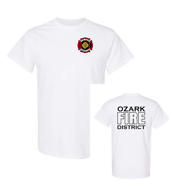 Gildan Cotton Tee-TALL