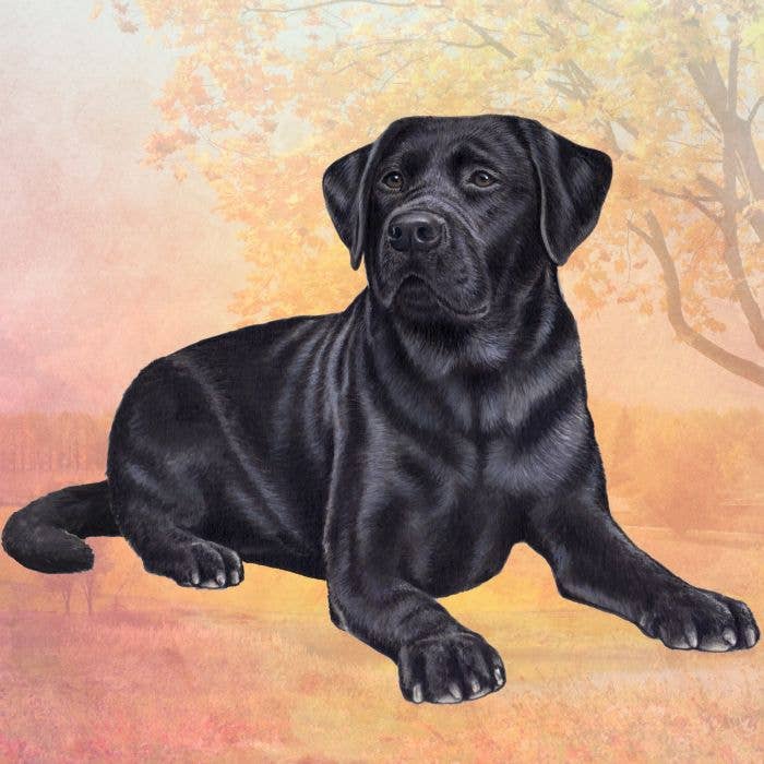 Labrador Black Square Coaster - Premium from E&S Pets - Just $4.50! Shop now at Pat's Monograms