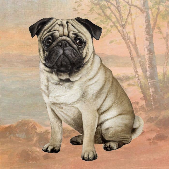 Pug Square Coaster - Premium from E&S Pets - Just $4.95! Shop now at Pat's Monograms