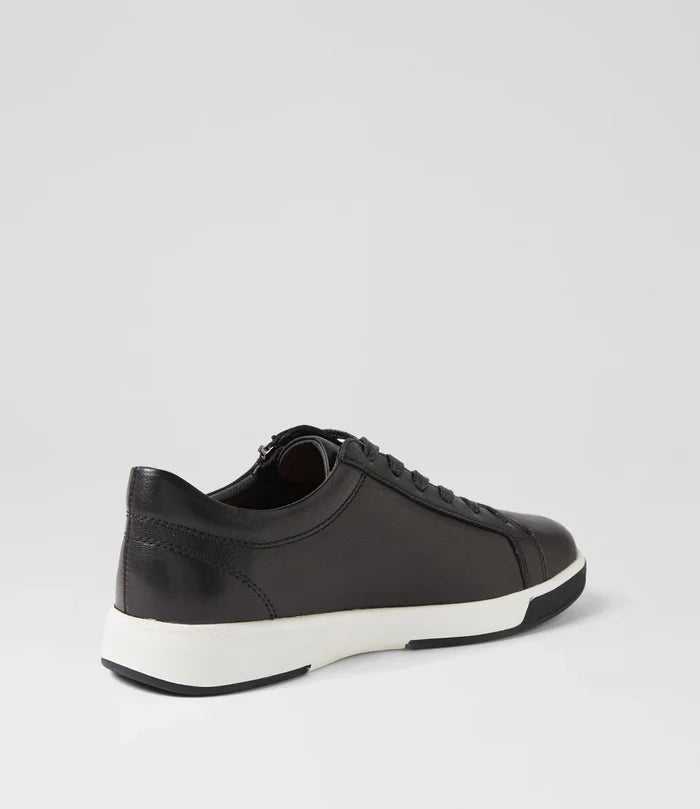 Aito (Black)