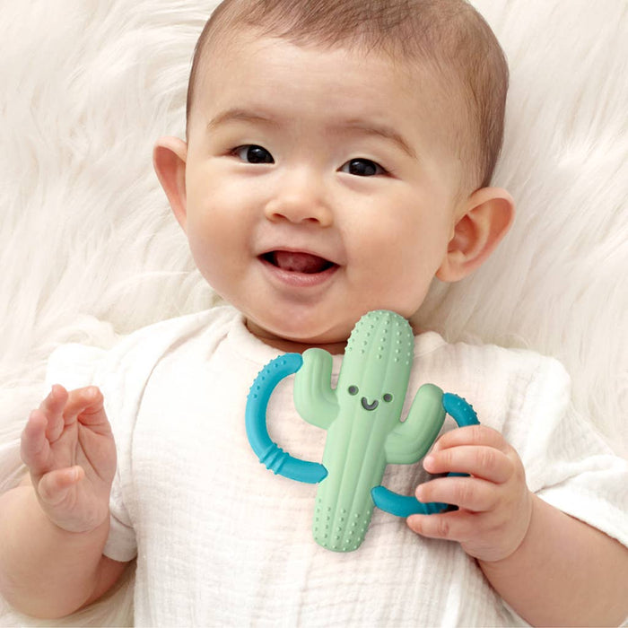 Cactus Chew Crew® - Premium teethers from Itzy Ritzy - Just $9.95! Shop now at Pat's Monograms