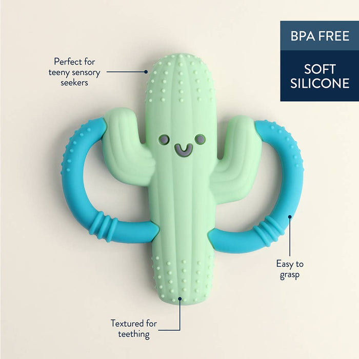 Cactus Chew Crew® - Premium teethers from Itzy Ritzy - Just $9.95! Shop now at Pat's Monograms