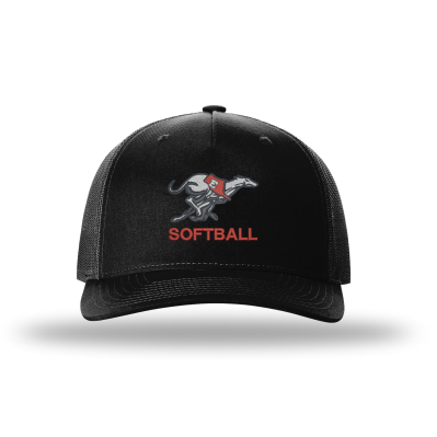 DE Softball - Richardson 112FP with embroidered logo