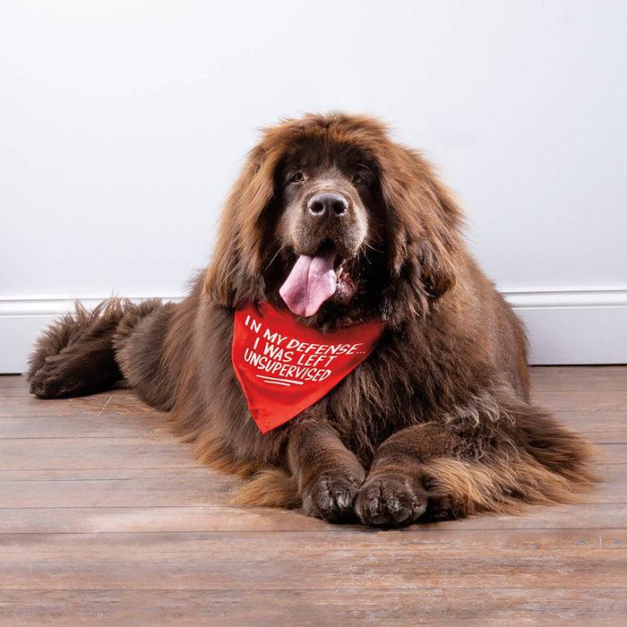 Defense/Warning Large Pet Bandana - Premium Dog Bandana from Primitives by Kathy - Just $12.65! Shop now at Pat's Monograms