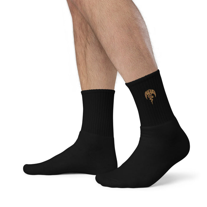 Demonic Alchemy socks