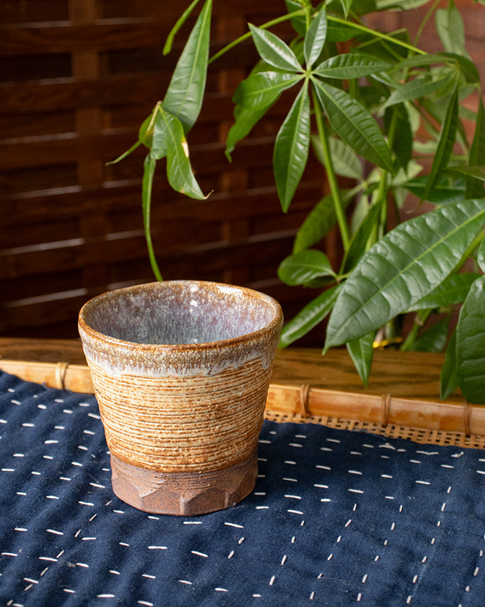 Free Cup, Bisque, Baku