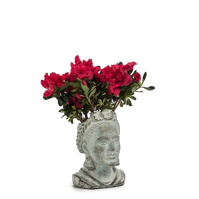 FRIDA PLANTER