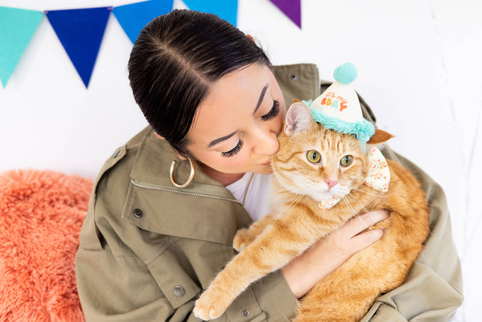 Happy Purrday Cat Hat and Bowtie Set - Premium Pet Accessories from Pearhead - Just $9.95! Shop now at Pat's Monograms