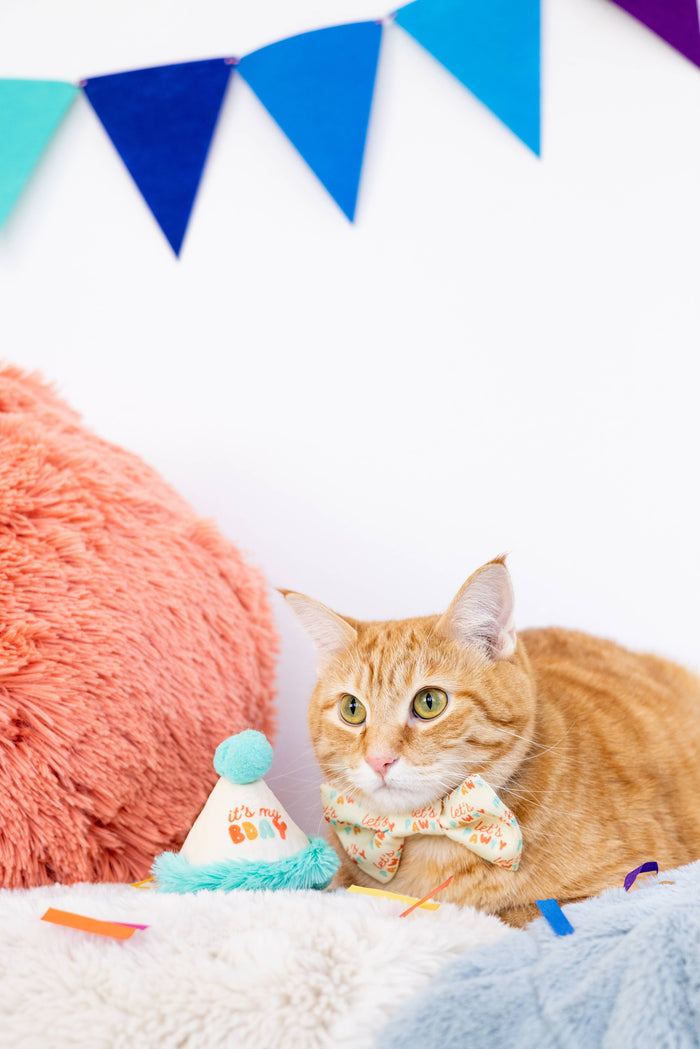 Happy Purrday Cat Hat and Bowtie Set - Premium Pet Accessories from Pearhead - Just $9.95! Shop now at Pat's Monograms