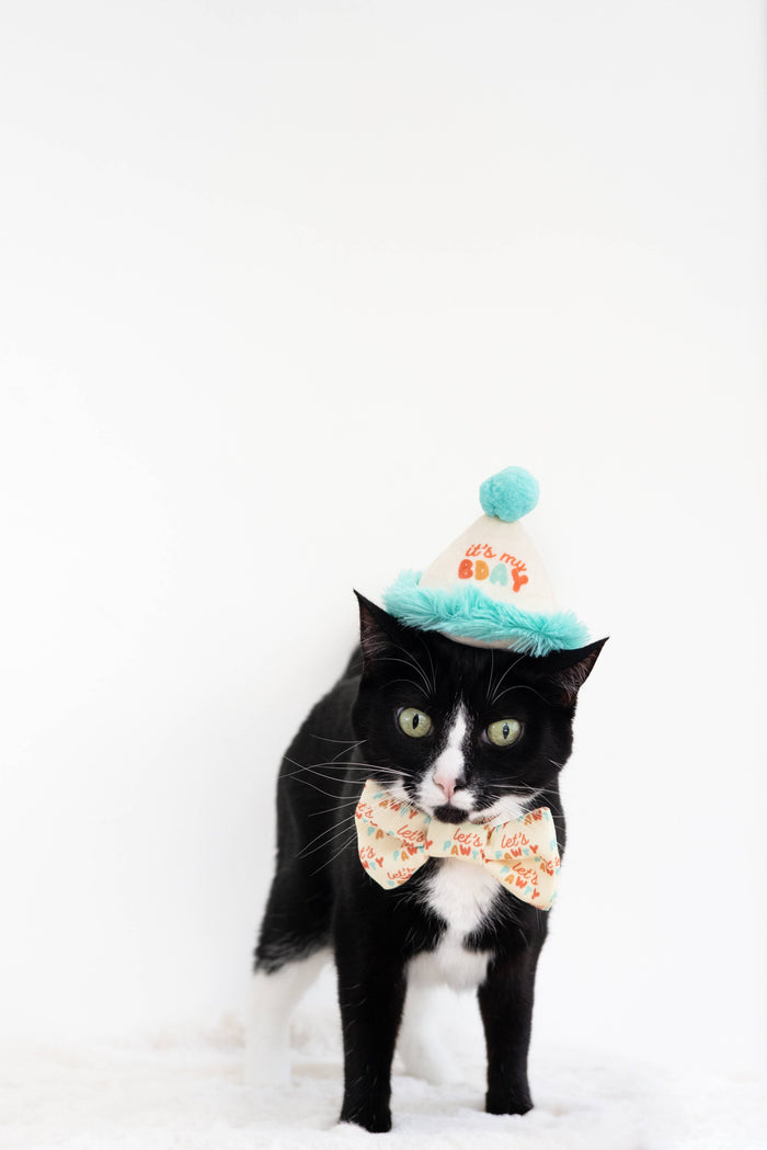 Happy Purrday Cat Hat and Bowtie Set - Premium Pet Accessories from Pearhead - Just $9.95! Shop now at Pat's Monograms
