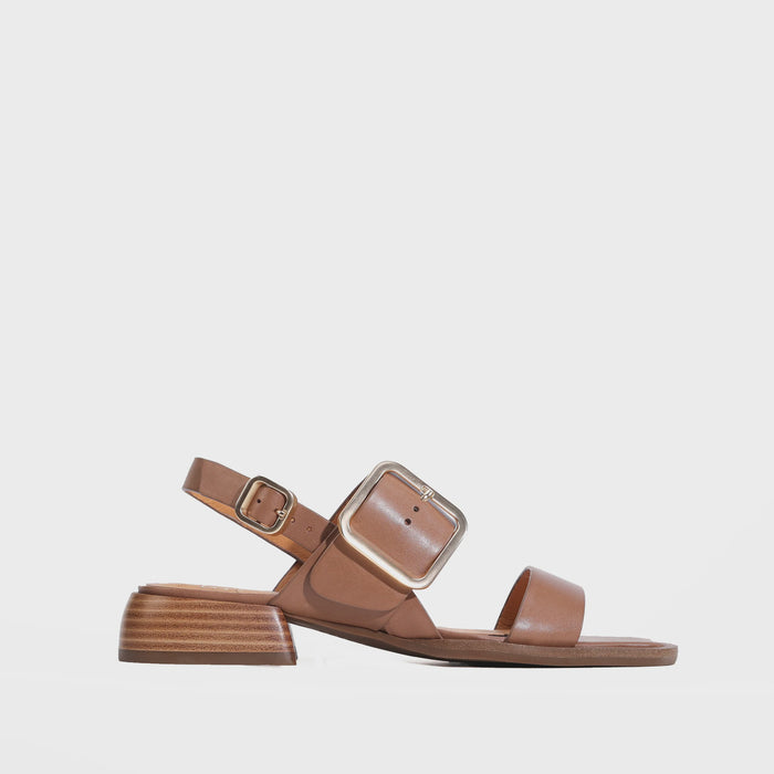 Ikam (Pecan)