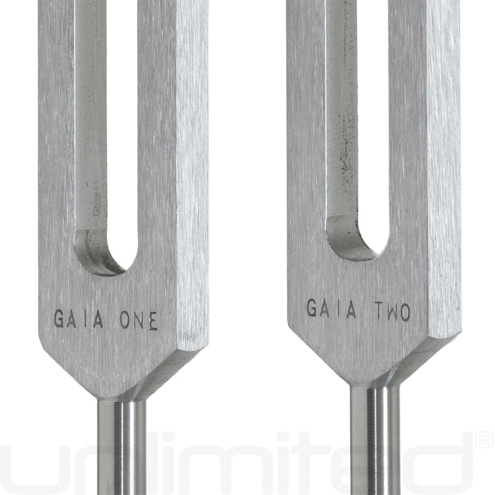 Jonathan Goldman's Gaia Frequency Brain Tuner Kit