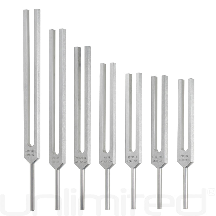 Luminanti Endocrine Tuning Fork Set (Unweighted)