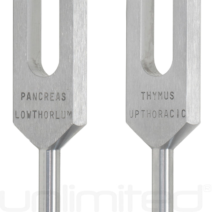 Luminanti Endocrine Tuning Fork Set (Unweighted)