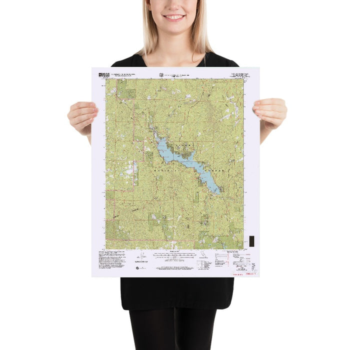 Map of Bass Lake, California by USGS, 1993 – Sierra National Forest & Madera County
