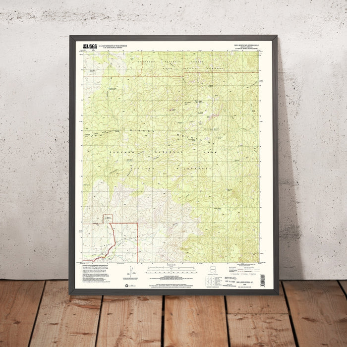 Map of Saguaro National Park, Arizona by USGS, 1996 – Mica Mountain, Rincon District & Tucson