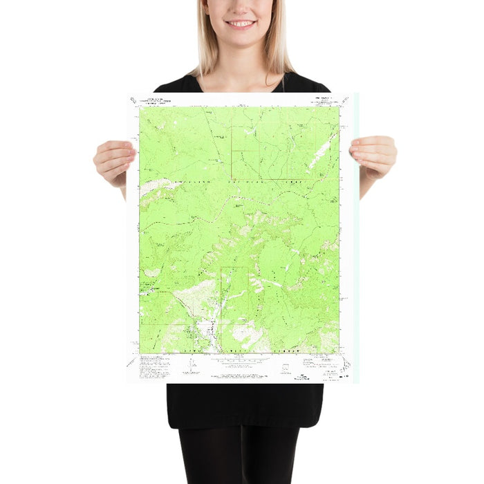 Old Map of Pine, Arizona by USGS, 1973 – Strawberry & Tonto National Forest