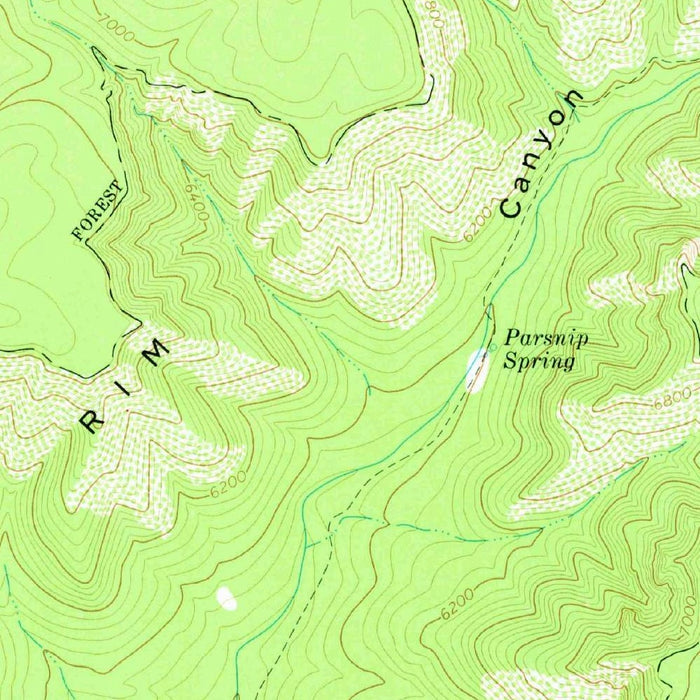 Old Map of Pine, Arizona by USGS, 1973 – Strawberry & Tonto National Forest