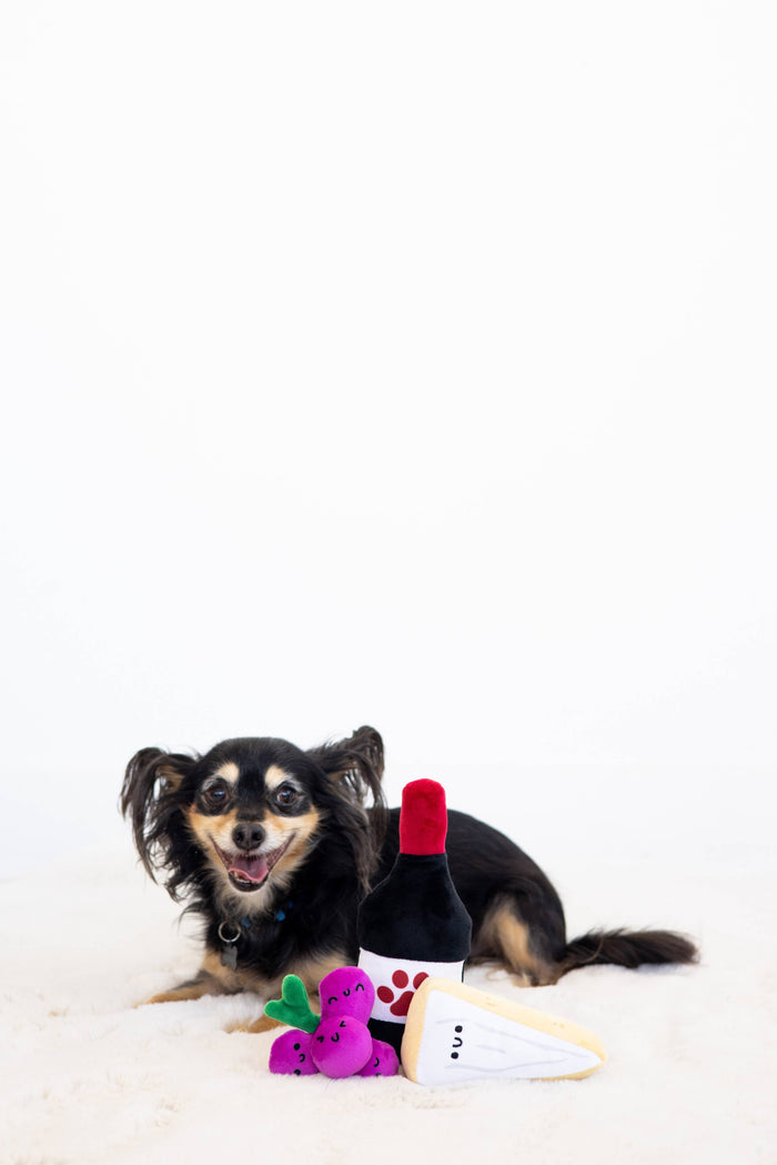 Pawrcuterie Board Dog Toys, Set of 3 - Premium Pet Accessories from Pearhead - Just $7.95! Shop now at Pat's Monograms
