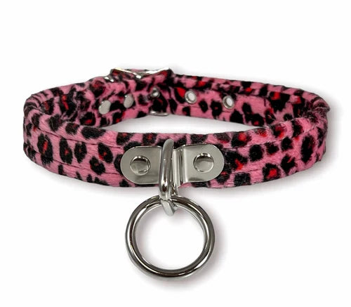 collar on display