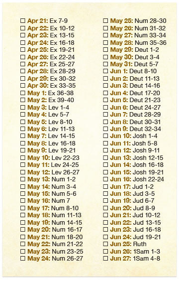 Read The Bible In A Year