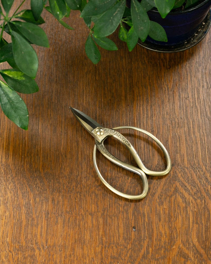 Tanabe Hasami, Japanese Gardening Scissors, Bronze