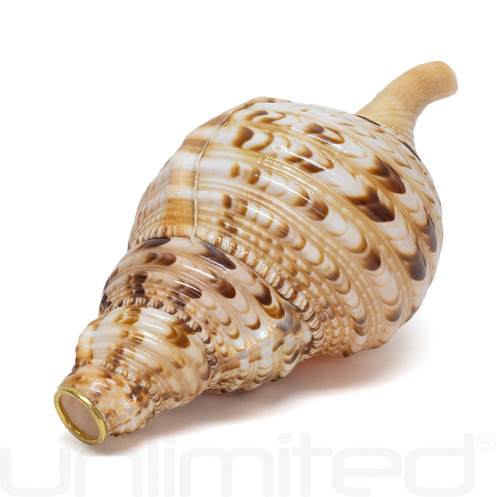 Unlimited Triton Shells