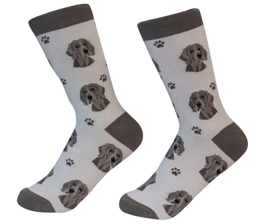 Weimeraner Socks - Premium Socks from Sock Daddy - Just $10.95! Shop now at Pat's Monograms