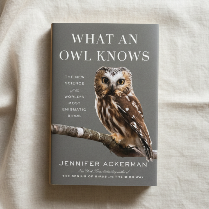 What An Owl Knows
