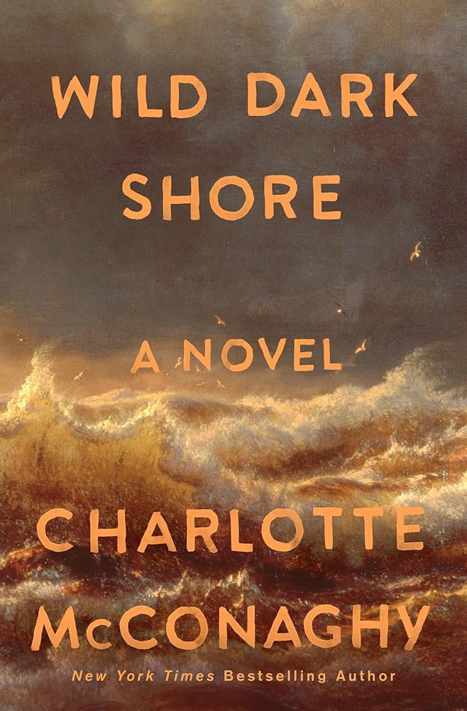 Wild Dark Shore: A Novel cover image