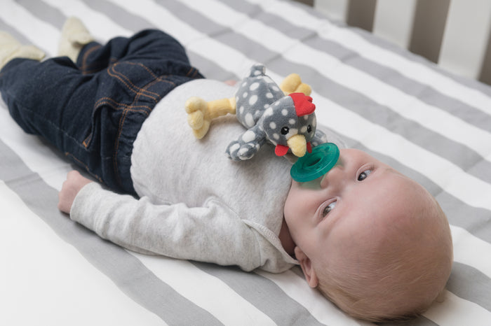WubbaNub pacifier attached to a small plush animal [alt-canary-2026-08-14]