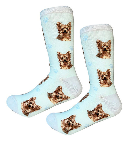 Yorkie Socks - Premium Socks from Sock Daddy - Just $10.95! Shop now at Pat's Monograms
